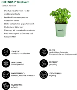 GREENBAR® Basilikum