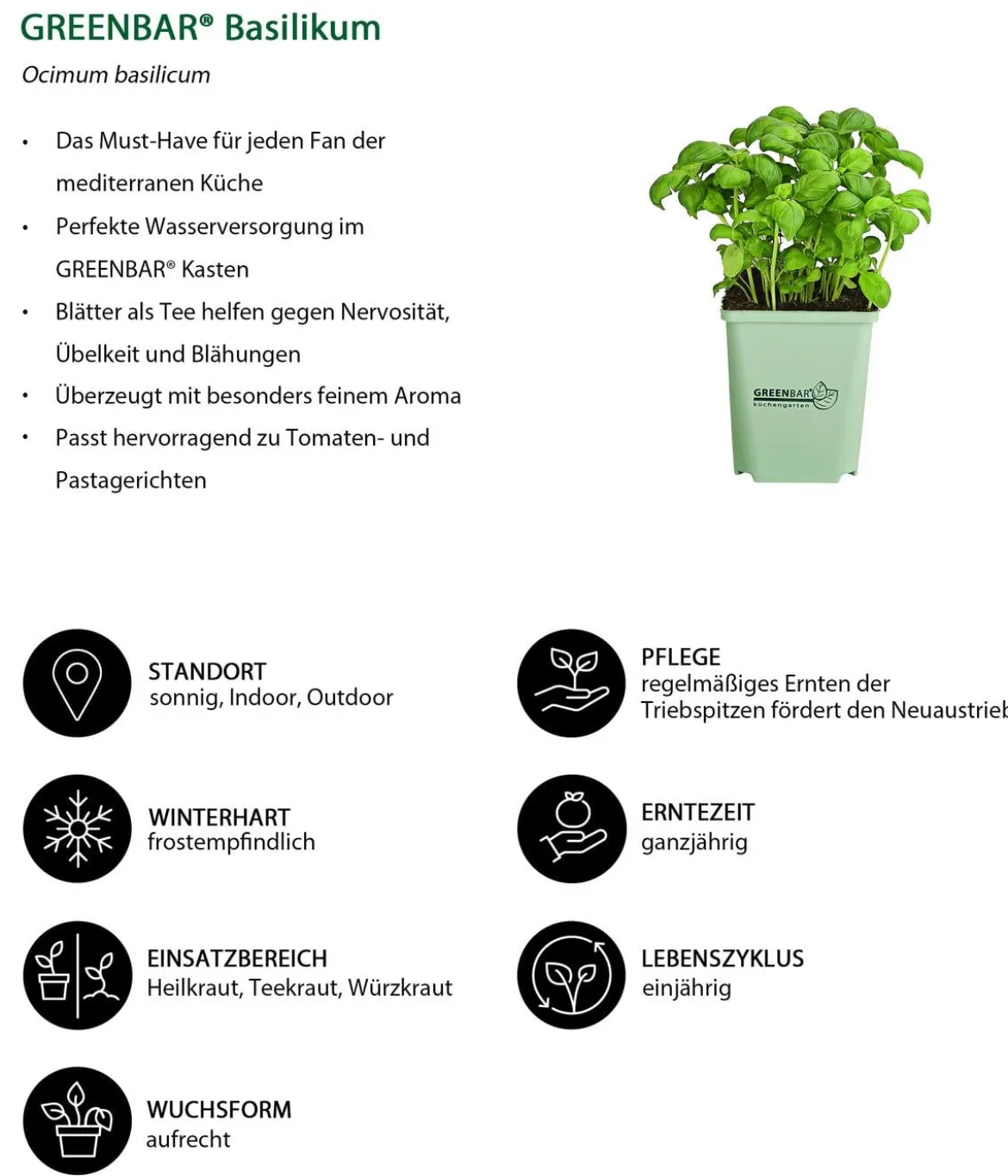 GREENBAR® Basilikum