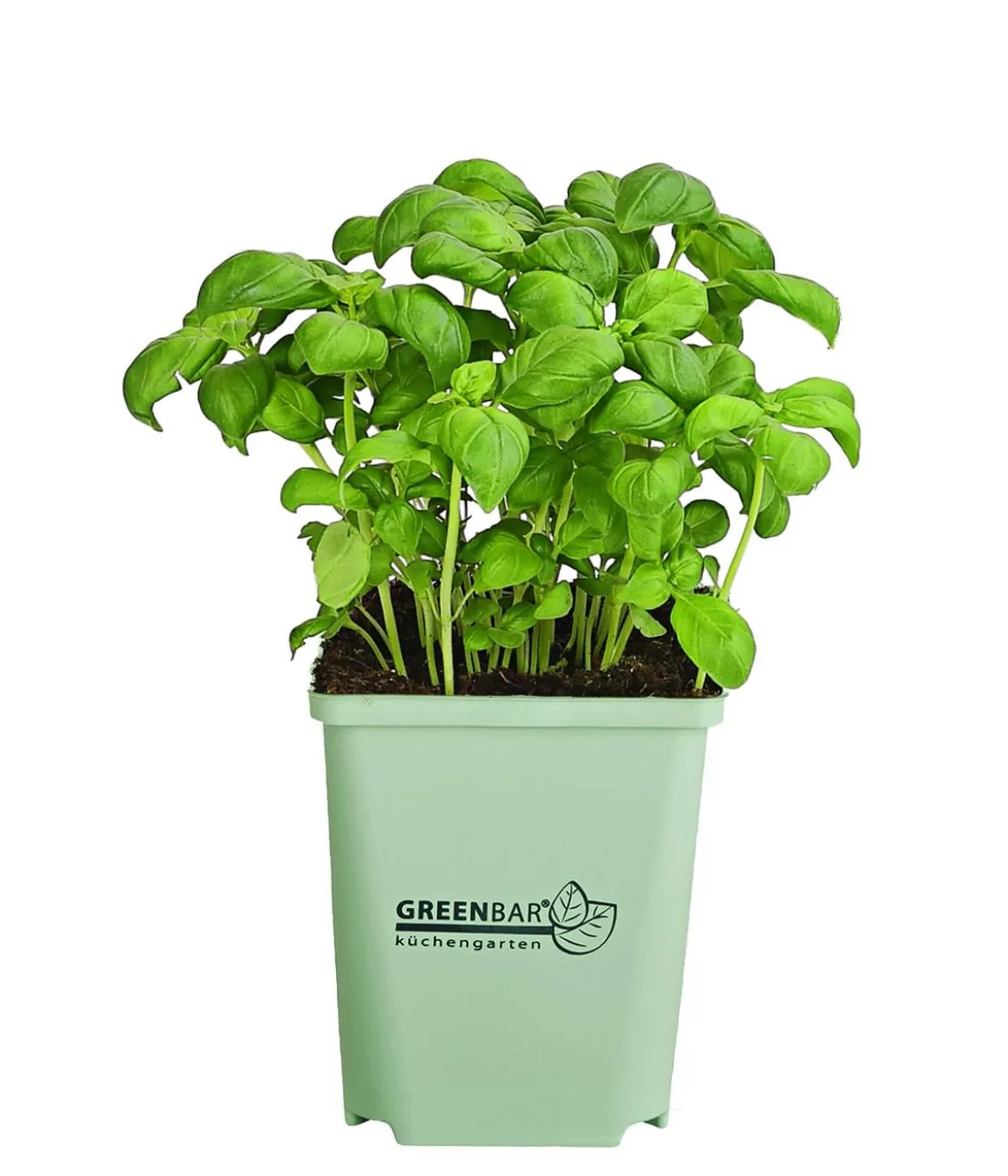 GREENBAR® Basilikum