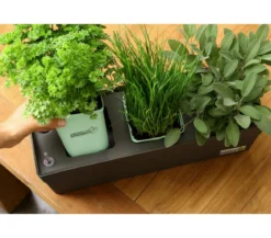 GREENBAR® Blutampfer