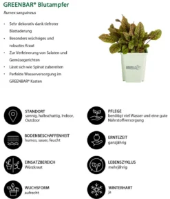 GREENBAR® Blutampfer
