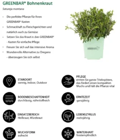 GREENBAR® Bohnenkraut
