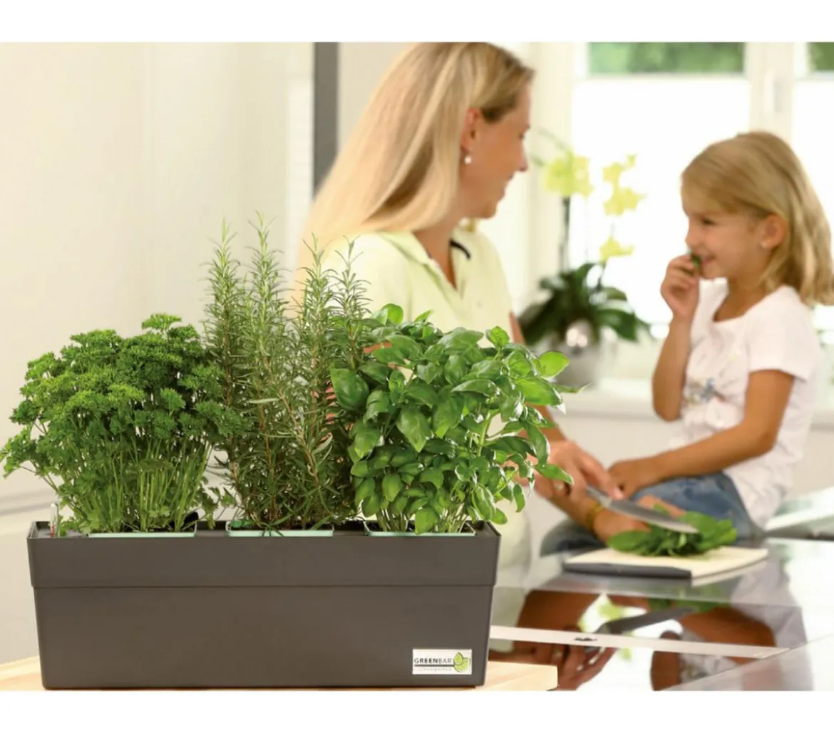GREENBAR® Ersatzvlies, 3er-Set