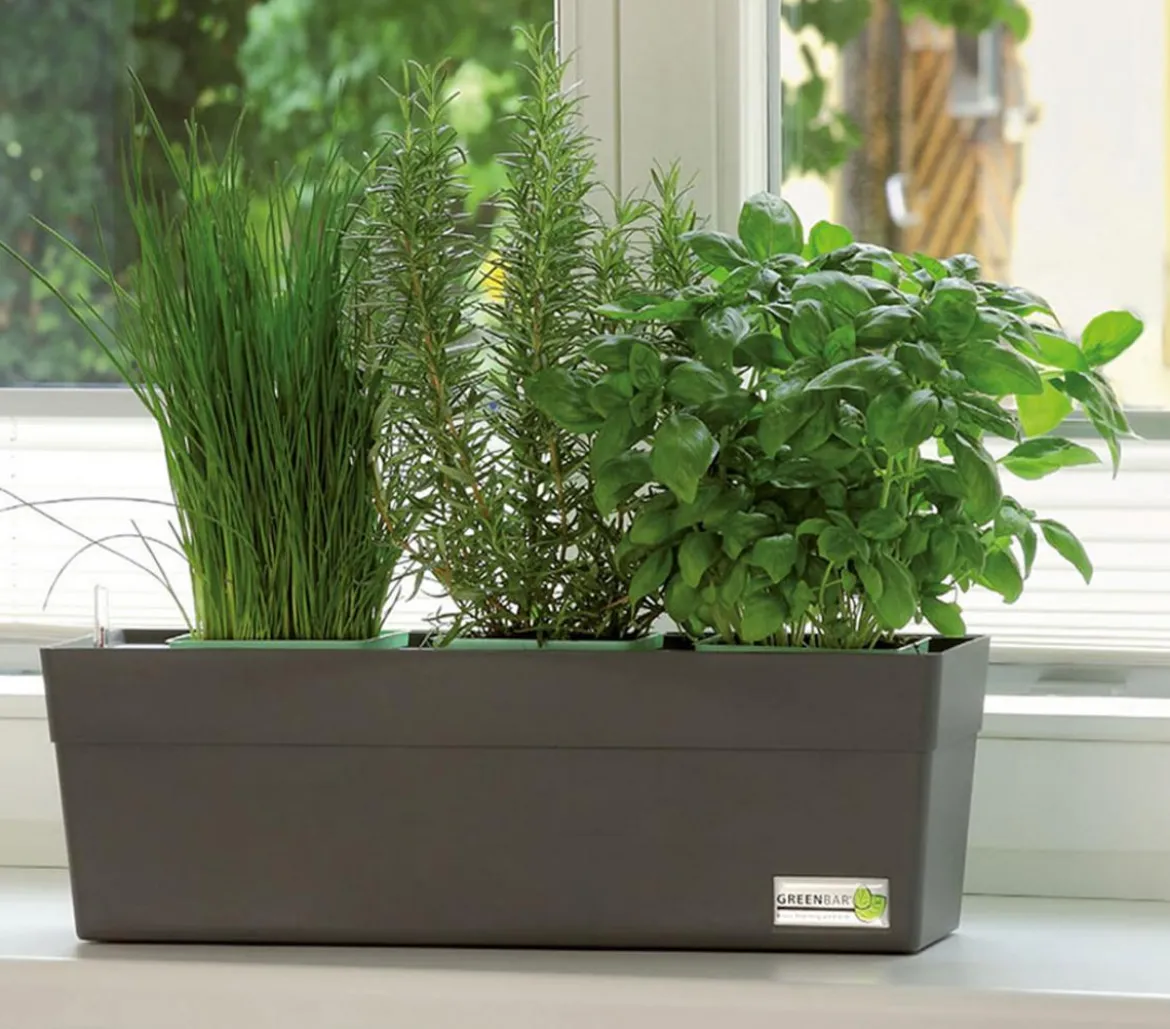 GREENBAR® Ersatzvlies, 3er-Set