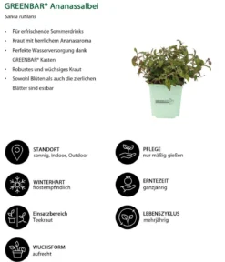 GREENBAR® Exoten-Set, 6-teilig