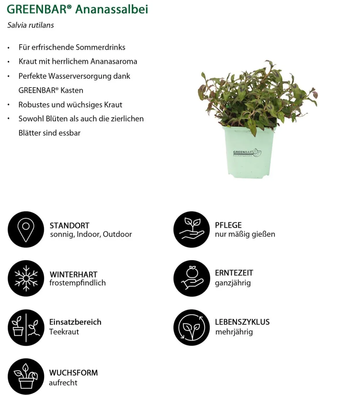 GREENBAR® Exoten-Set, 6-teilig