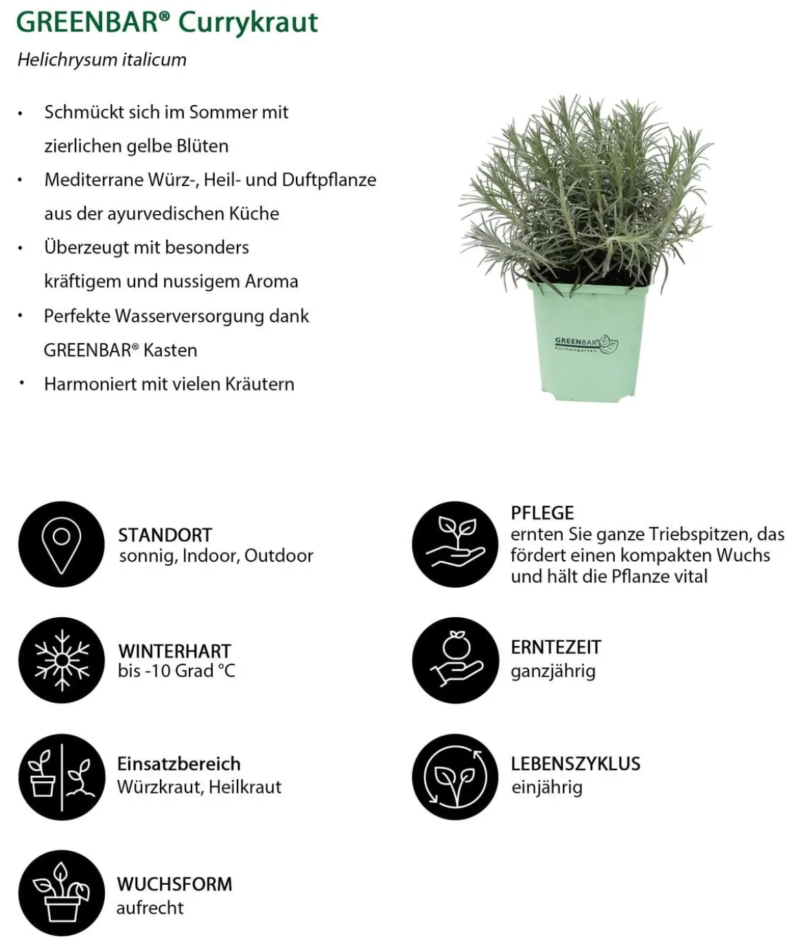 GREENBAR® Exoten-Set, 6-teilig