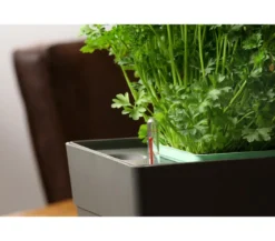 GREENBAR® Kräuterkasten, ca. B48/H15,5/T16 cm