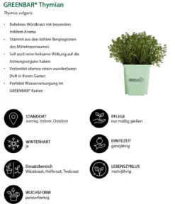 GREENBAR® Kräuter-Set Französische Küche, 6-teilig