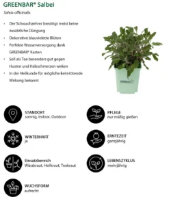 GREENBAR® Kräuter-Set Französische Küche, 6-teilig