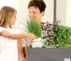 GREENBAR® Kräuter-Set Französische Küche, 6-teilig