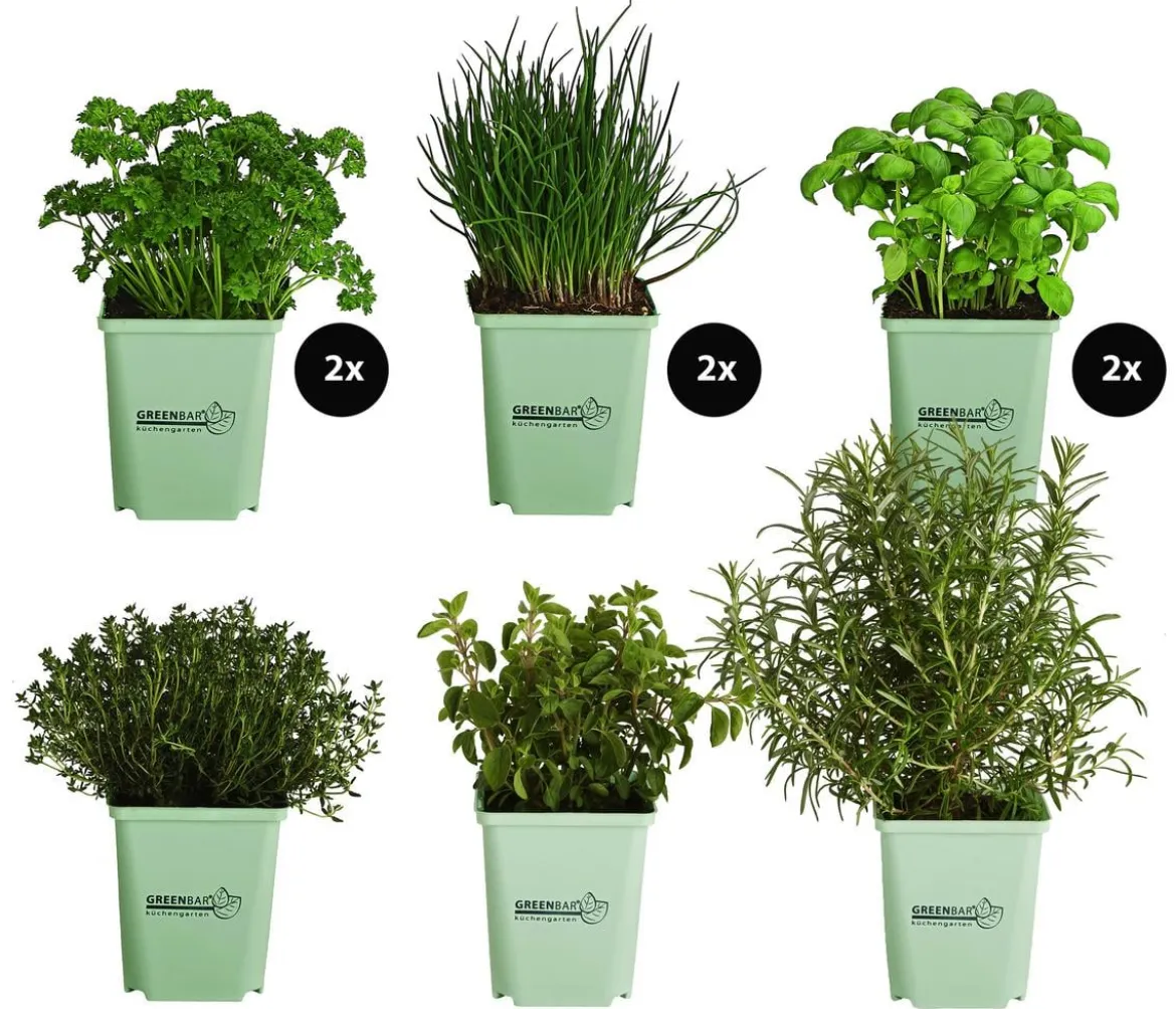 GREENBAR® Kräuter-Set Vielfalt, 9-teilig
