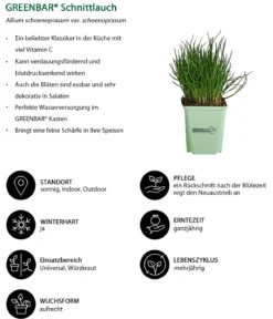 GREENBAR® Kräuter-Set Vielfalt, 9-teilig