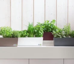 GREENBAR® Kräuter-Set Vielfalt, 9-teilig