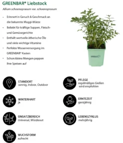 GREENBAR® Liebstock