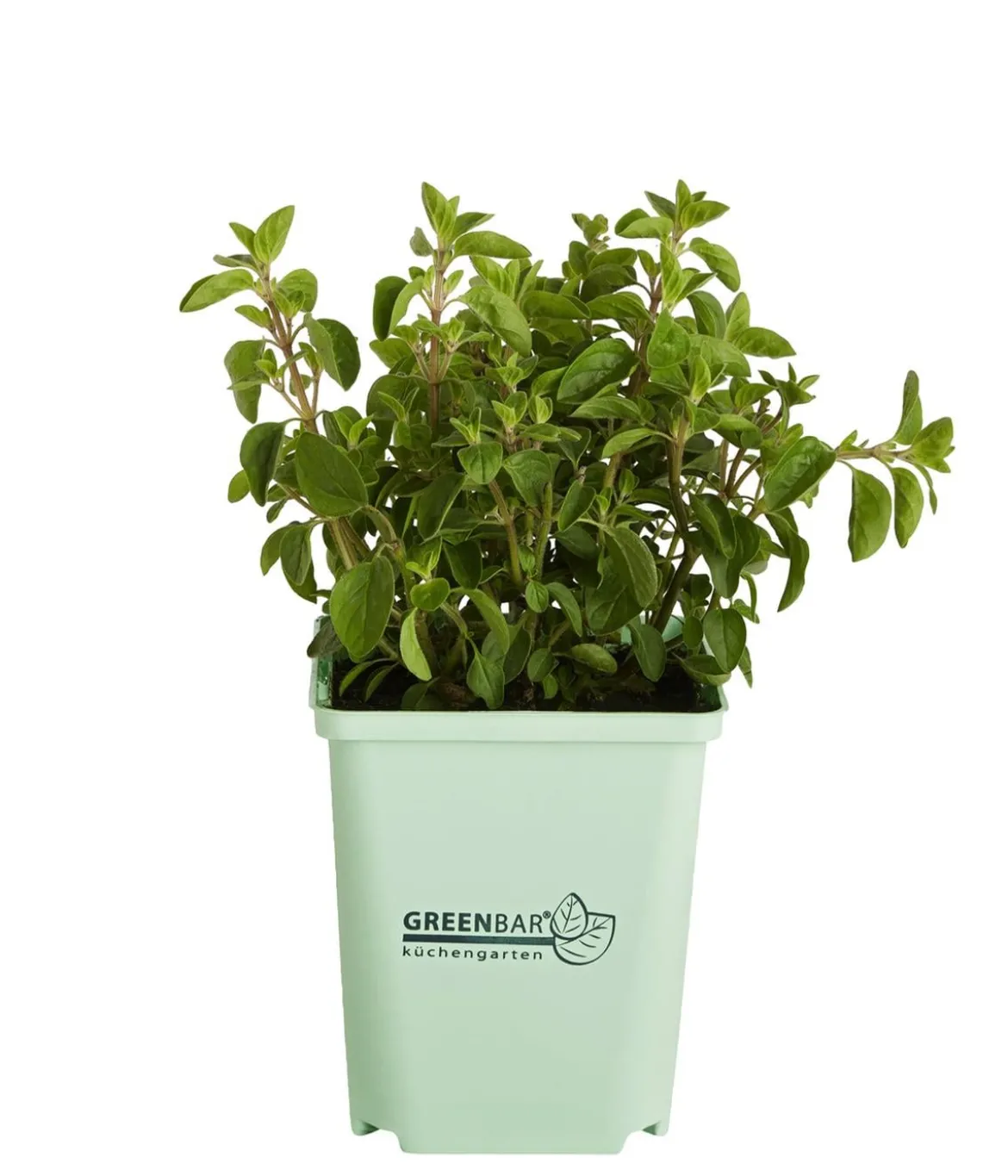 GREENBAR® Oregano