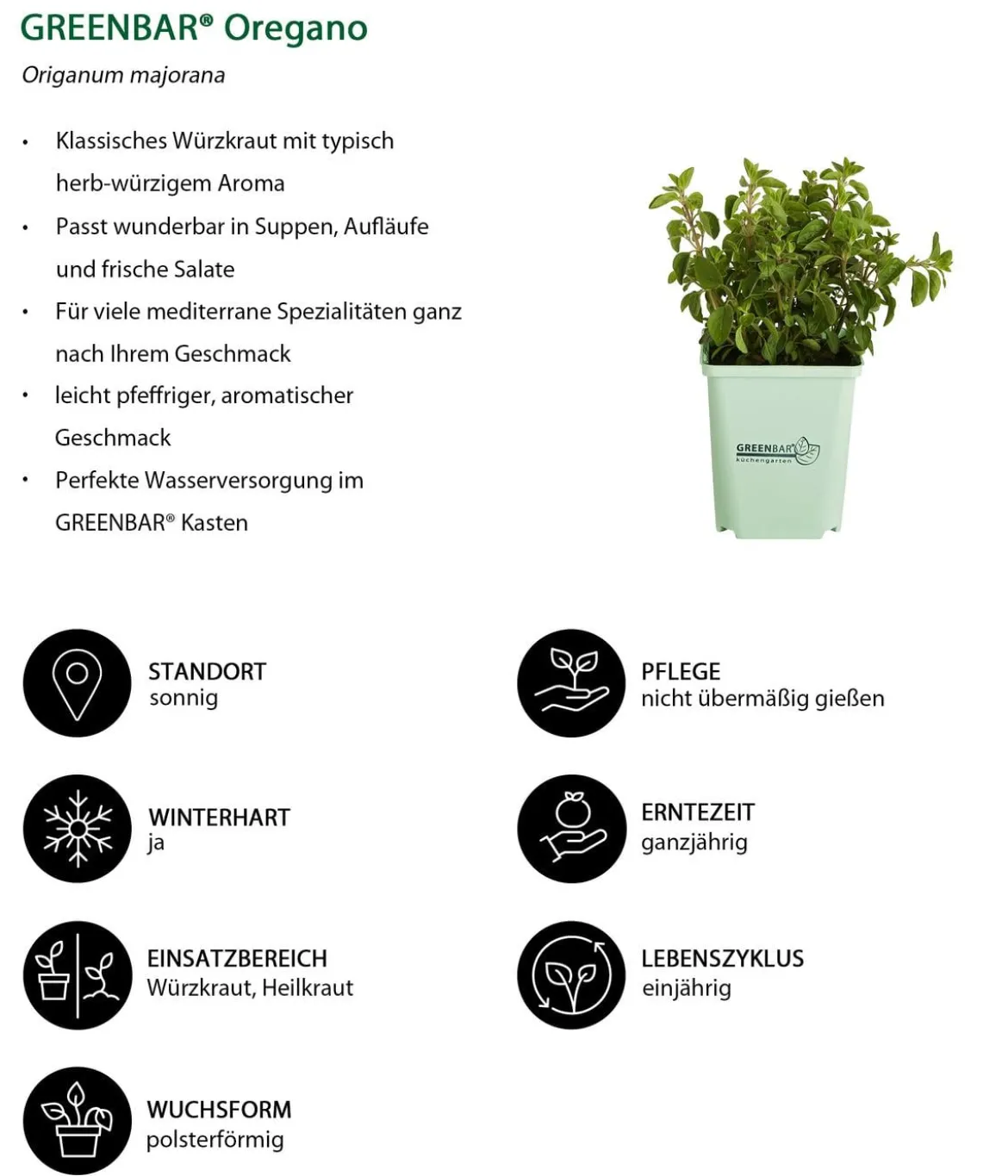 GREENBAR® Oregano