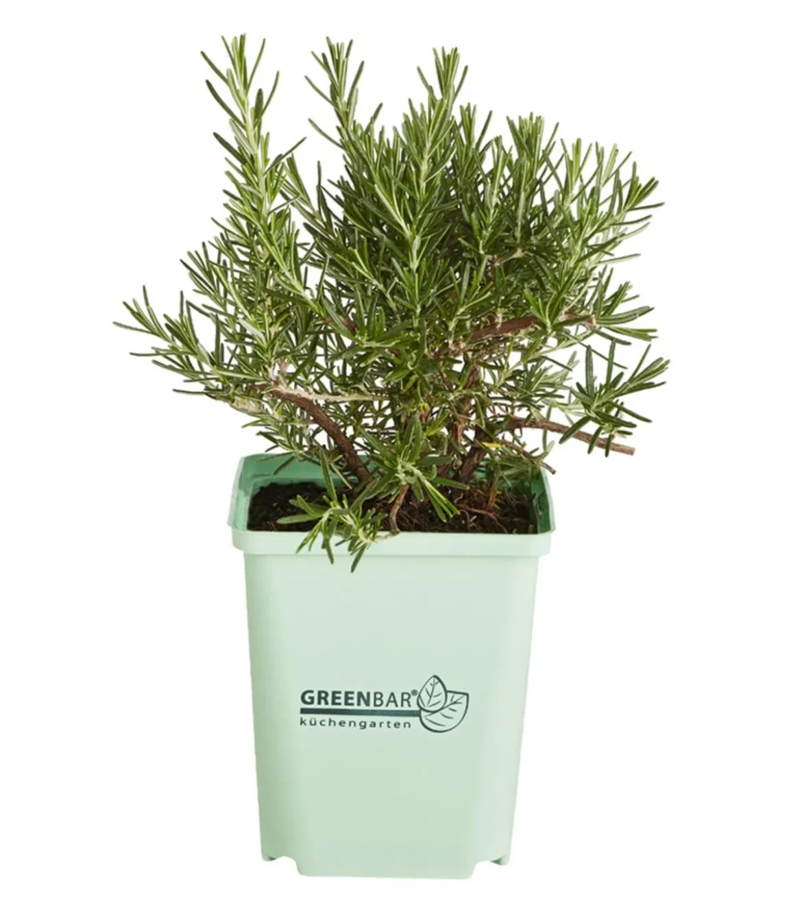 GREENBAR® Rosmarin, hängend