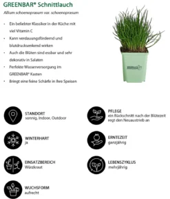 GREENBAR® Schnittlauch