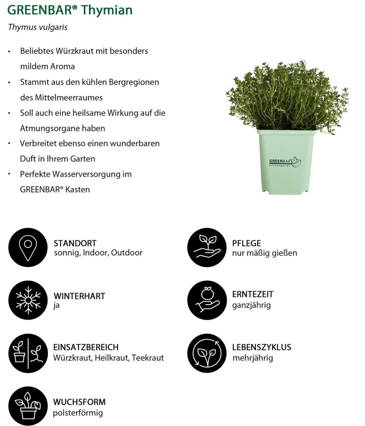 GREENBAR® Thymian