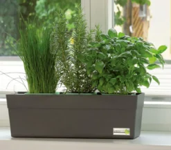 GREENBAR® Wasserstandsanzeiger