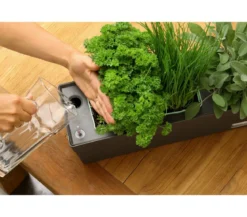 GREENBAR® Wasserstandsanzeiger