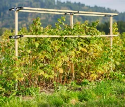 Gusta Garden Beeren-Rankhilfe Berry Buddy Erweiterung, ca. B119/H139/T35 cm