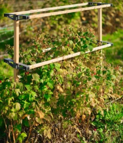 Gusta Garden Beeren-Rankhilfe Berry Buddy, ca. B119/H139/T35 cm