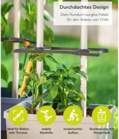 Gusta Garden Chili-Pflanztopf Charly Chili XL, ca. B34,7/H138/T28,1 cm