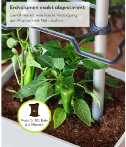 Gusta Garden Chili-Pflanztopf Charly Chili XL, ca. B34,7/H138/T28,1 cm