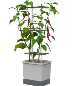 Gusta Garden Chili-Pflanztopf Charly Chili XL, ca. B34,7/H138/T28,1 cm