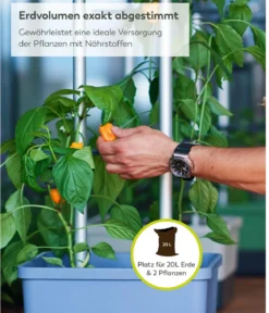 Gusta Garden Chili-Pflanztopf Charly Chili XL, ca. B34,7/H138/T28,1 cm
