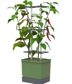 Gusta Garden Chili-Pflanztopf Charly Chili XL, ca. B34,7/H138/T28,1 cm