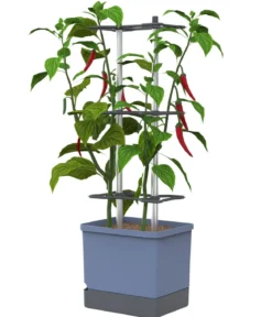 Gusta Garden Chili-Pflanztopf Charly Chili XL, ca. B34,7/H138/T28,1 cm