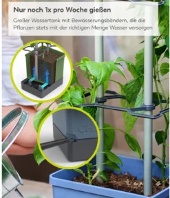 Gusta Garden Chili-Pflanztopf Charly Chili XL, ca. B34,7/H138/T28,1 cm
