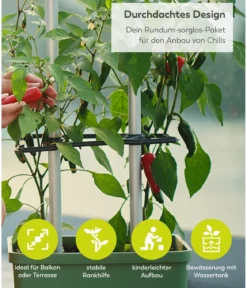 Gusta Garden Chili-Pflanztopf Charly Chili XL, ca. B34,7/H138/T28,1 cm