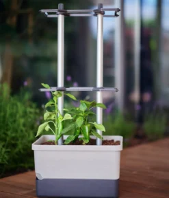 Gusta Garden Chili-Pflanztopf Charly Chili, ca. B35/H69/T28 cm