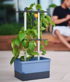 Gusta Garden Chili-Pflanztopf Charly Chili, ca. B35/H69/T28 cm