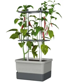 Gusta Garden Chili-Pflanztopf Charly Chili, ca. B35/H69/T28 cm