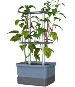 Gusta Garden Chili-Pflanztopf Charly Chili, ca. B35/H69/T28 cm