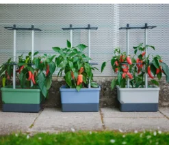Gusta Garden Chili-Pflanztopf Charly Chili, ca. B35/H69/T28 cm