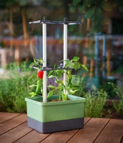 Gusta Garden Chili-Pflanztopf Charly Chili, ca. B35/H69/T28 cm