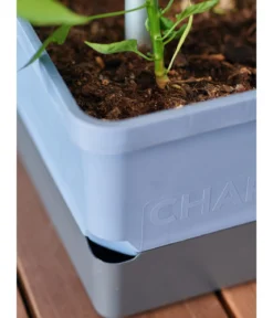 Gusta Garden Chili-Pflanztopf Charly Chili, ca. B35/H69/T28 cm