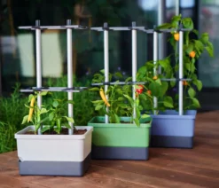Gusta Garden Chili-Pflanztopf Charly Chili, ca. B35/H69/T28 cm