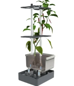 Gusta Garden Chili-Pflanztopf Charly Chili, ca. B35/H69/T28 cm