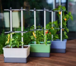 Gusta Garden Chili-Pflanztopf Charly Chili, ca. B35/H69/T28 cm