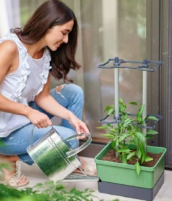 Gusta Garden Chili-Pflanztopf Charly Chili, ca. B35/H69/T28 cm