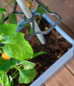 Gusta Garden Chili-Pflanztopf Charly Chili, ca. B35/H69/T28 cm