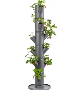 Gusta Garden Erdbeerbaum Sissi Strawberry Classic, ca. B32/H113/T27 cm