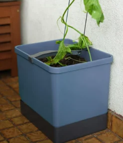 Gusta Garden Gurken-Topf Curt Cucumber, ca. B35/H138/T28 cm